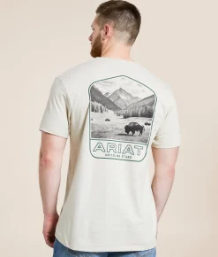 Graphic T-Shirts | Ariat Gallatin Bison T-Shirt Natural
