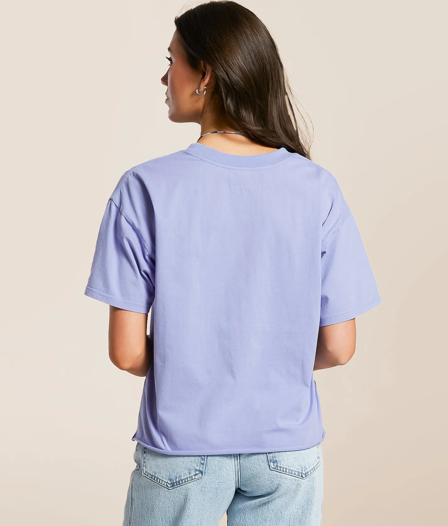 Goodie Two Sleeves Beach Boys Band T-Shirt Pale Iris