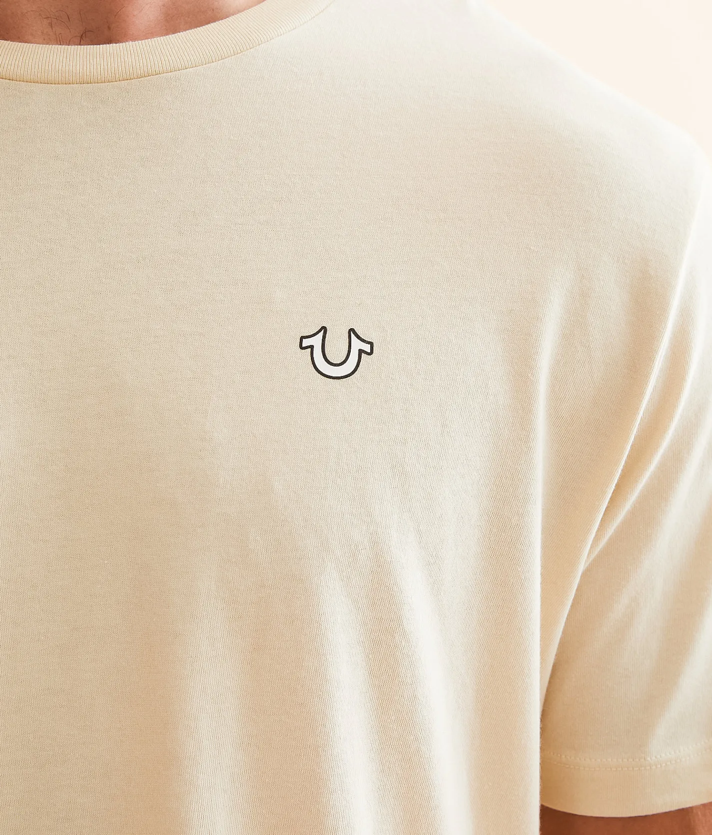 Graphic T-Shirts | True Religion Buddha T-Shirt Fog