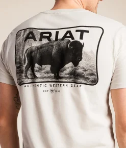 Tops|Graphic T-Shirts | Ariat Buffalo Valley T-Shirt Glacier Gray