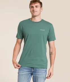 Ariat Chalk Diamond Patriot T-Shirt Silver Pine Online