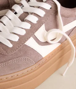 Steve Madden Dodge Leather Sneaker Taupe Multi Discount