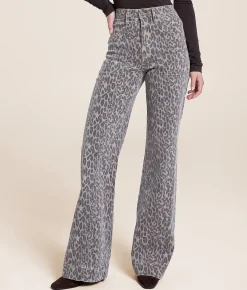 HIDDEN Happi Flare Stretch Jean Cheetah