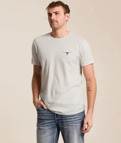 Ariat Longhorn Lockup T-Shirt Glacier Gray New