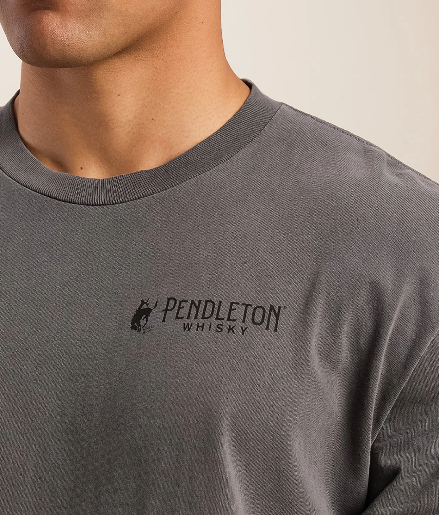 Pendleton Longhorn Skull Jacquard T-Shirt Storm Grey Pigment