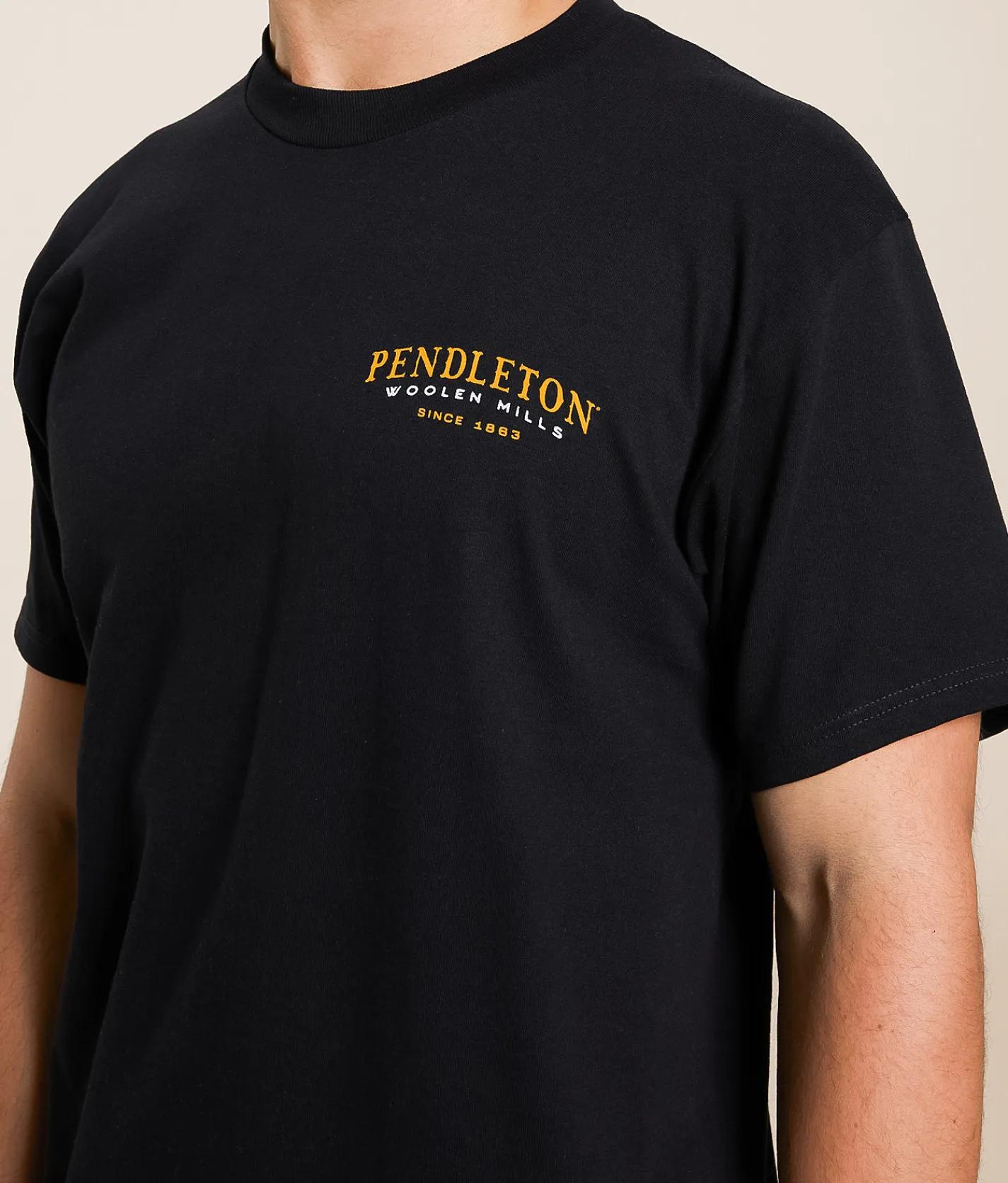 Pendleton Longhorn T-Shirt Java Best