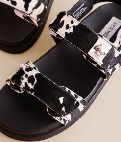 Steve Madden Mona Cow Print Sandal Blk Wht Online