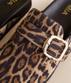 Shoes | Mia Neah Big Buckle Clog Leopard
