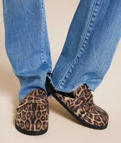 Shoes | Mia Neah Big Buckle Clog Leopard