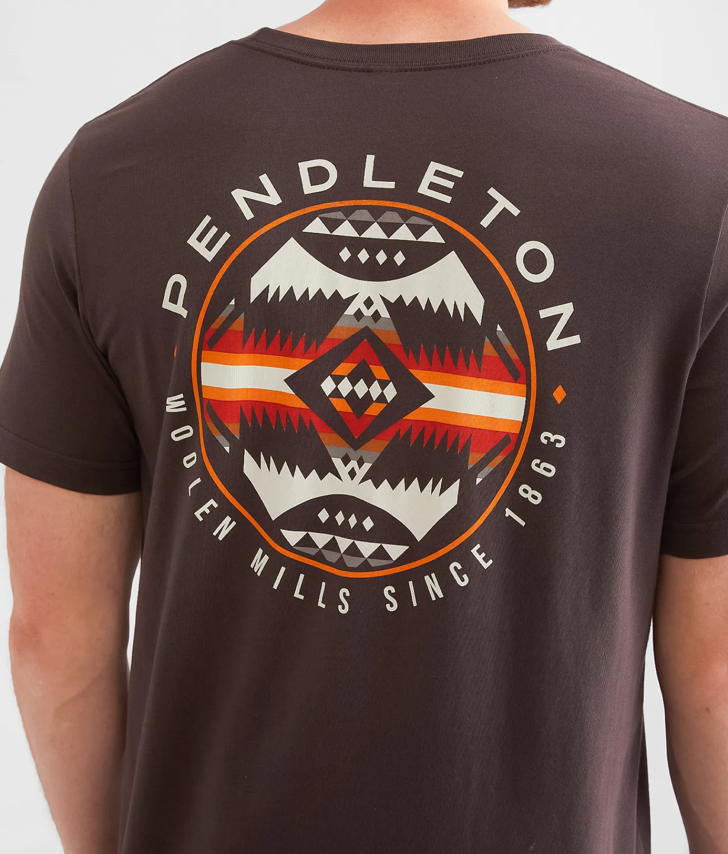 Graphic T-Shirts | Pendleton Nehalem Circle T-Shirt Brown