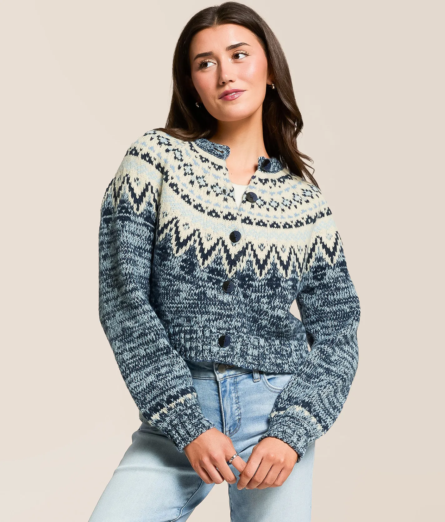 Z Supply North Sea Fairisle Cardigan Sweater Blue Velvet Heather Online