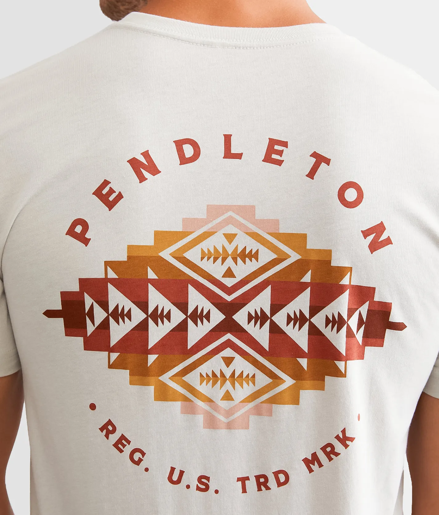 Pendleton Pinto Mountains T-Shirt Heather Cement New