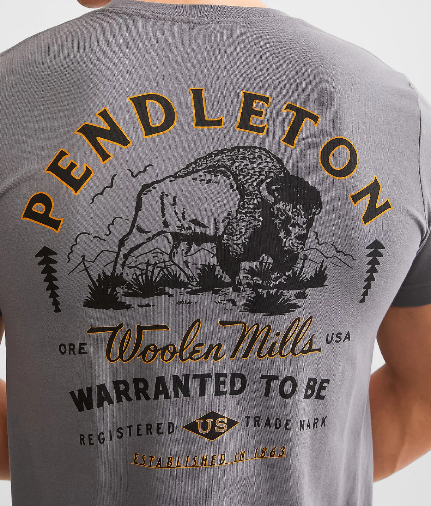 Graphic T-Shirts | Pendleton Plains Bison T-Shirt Asphalt