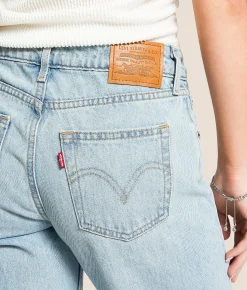Jeans|Bottoms | Levi's® Premium Low Loose Jean Blasted Stone Clean Psk