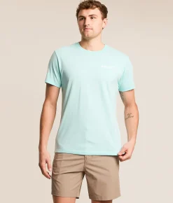Graphic T-Shirts | Ariat Pristine Shield T-Shirt Soothing Seas