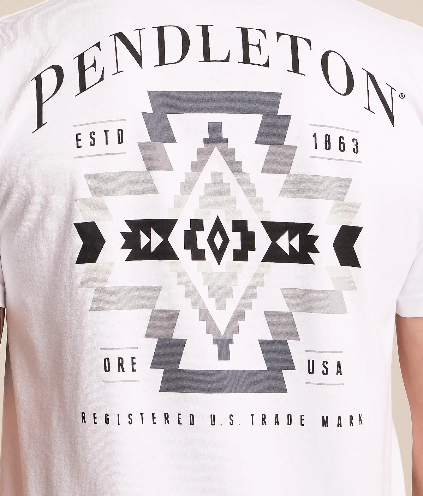 Tops|Graphic T-Shirts | Pendleton Rock Point T-Shirt White