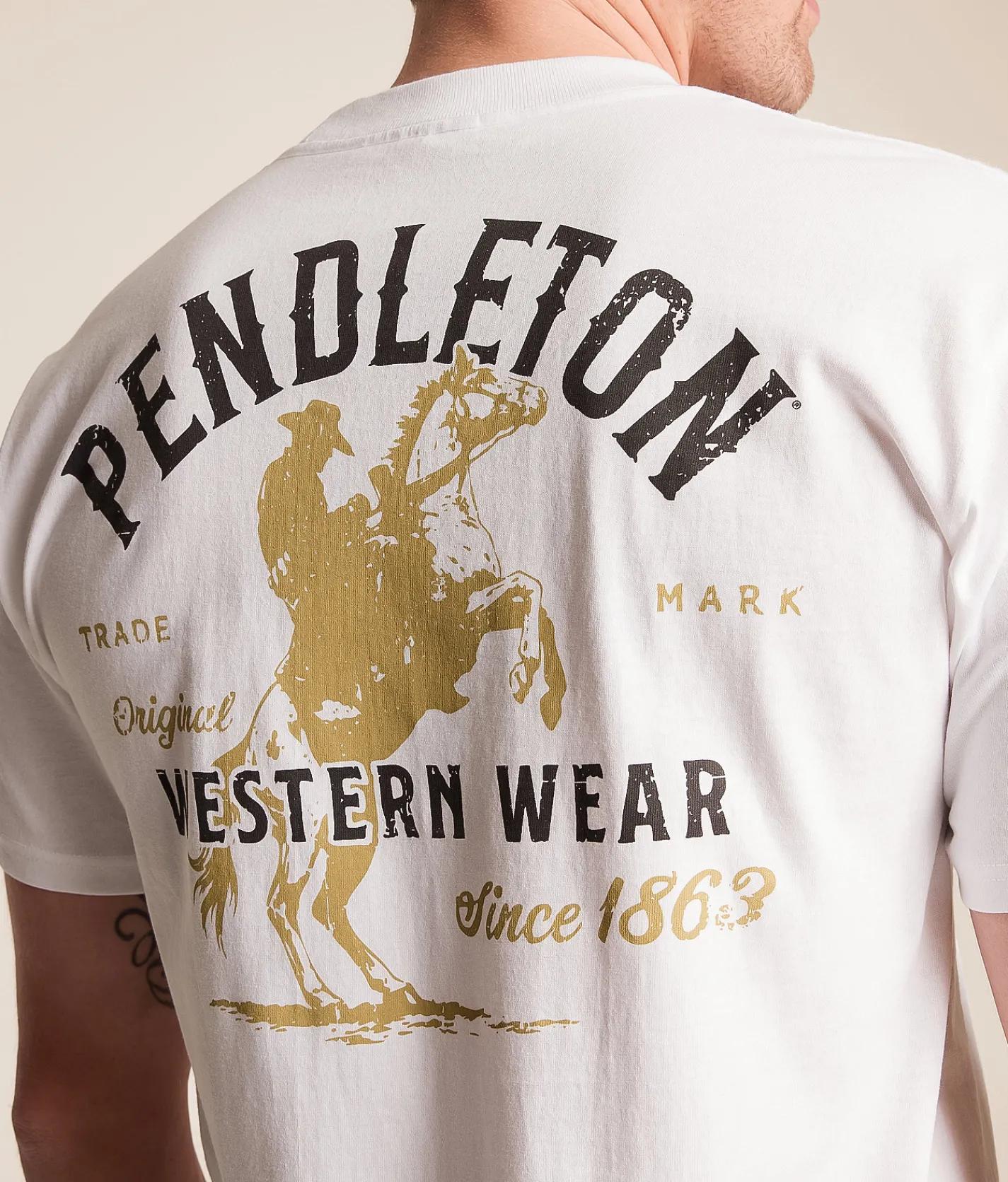 Pendleton Saddle Up T-Shirt White New