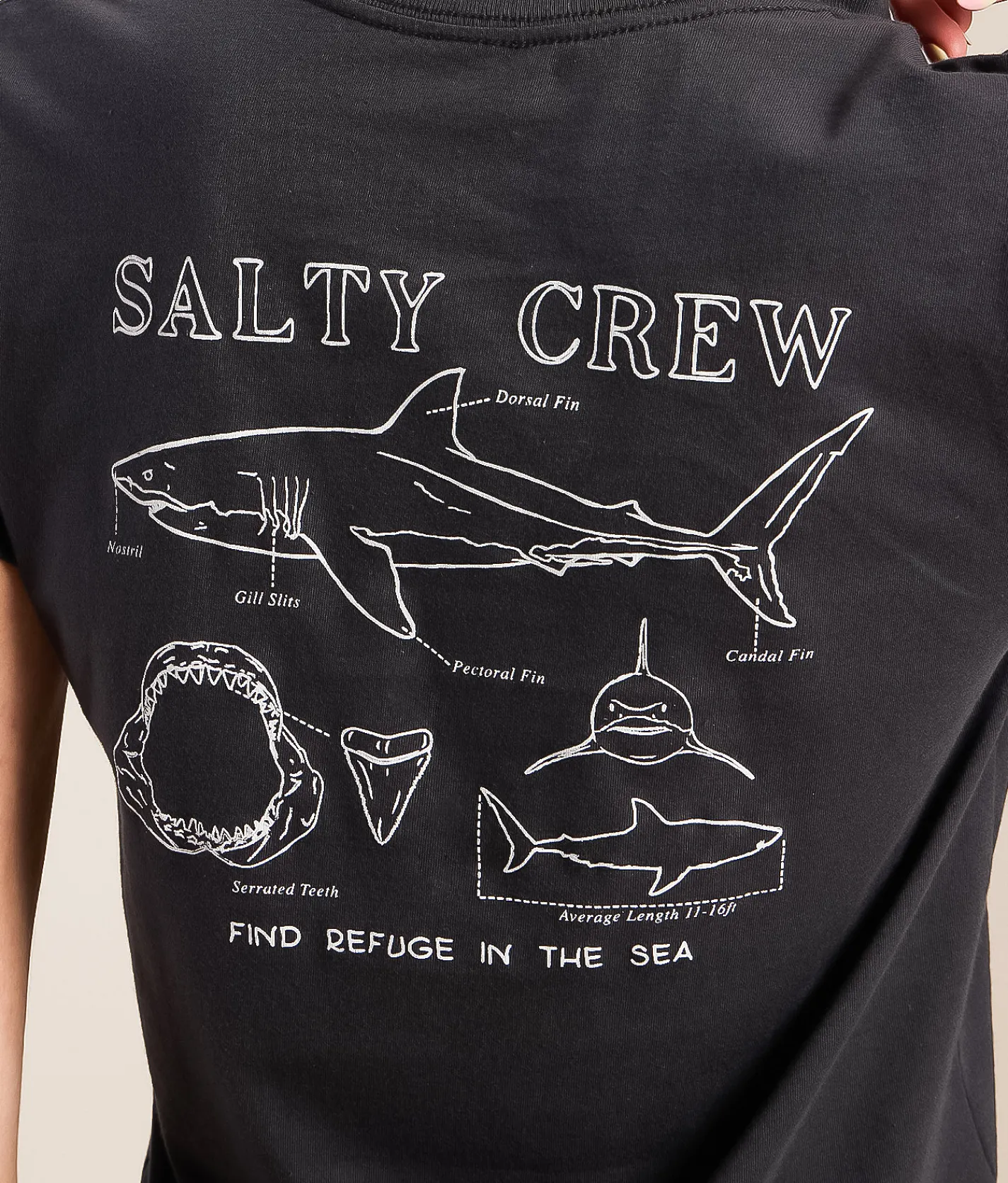 Tops | Salty Crew Shark Anatomy T-Shirt Charcoal