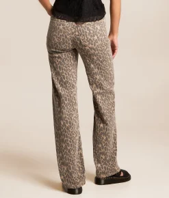 HIDDEN Sloane Classic Straight Stretch Jean Cheetah New