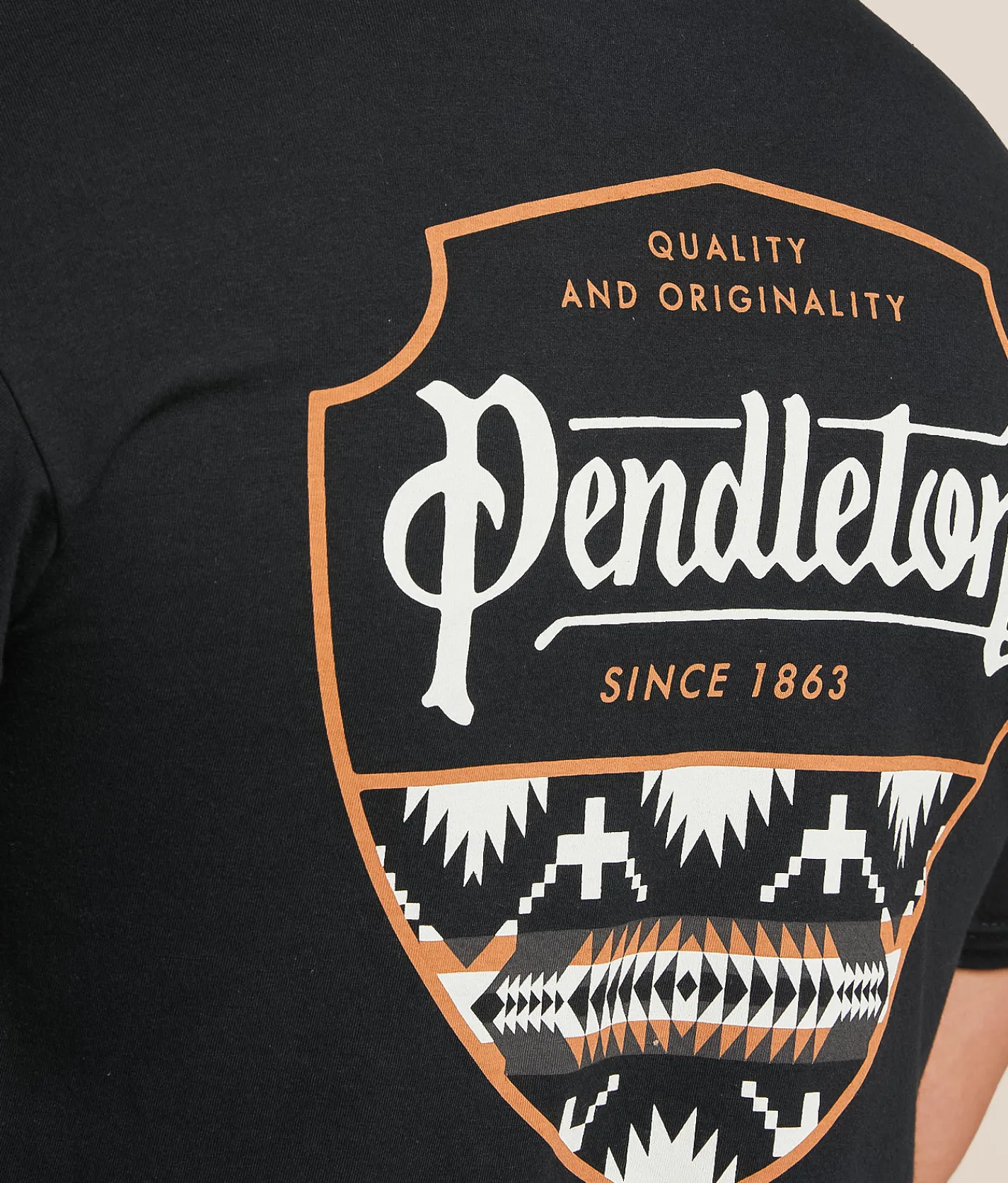 Graphic T-Shirts | Pendleton Spider Rock Shield T-Shirt Black