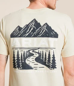 Ariat Stamped Valley T-Shirt Wood Ash Online