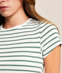 Tops | FITZ + EDDI Striped T-Shirt Dark Forest