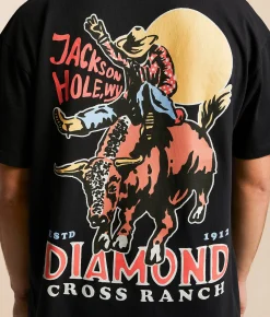 Graphic T-Shirts | Diamond Cross Ranch Sunshine Bull Ride T-Shirt Black