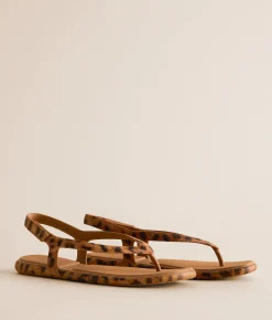 Shoes | Reef Water Willow Maya Sandal Leopard
